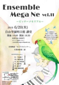 Ensemble Mega Ne Vol.11